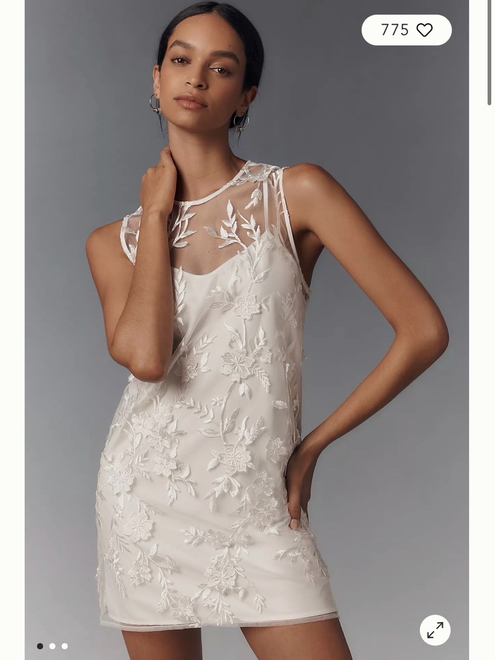 Flat White Sheer Embroidered XXS Mini Dress